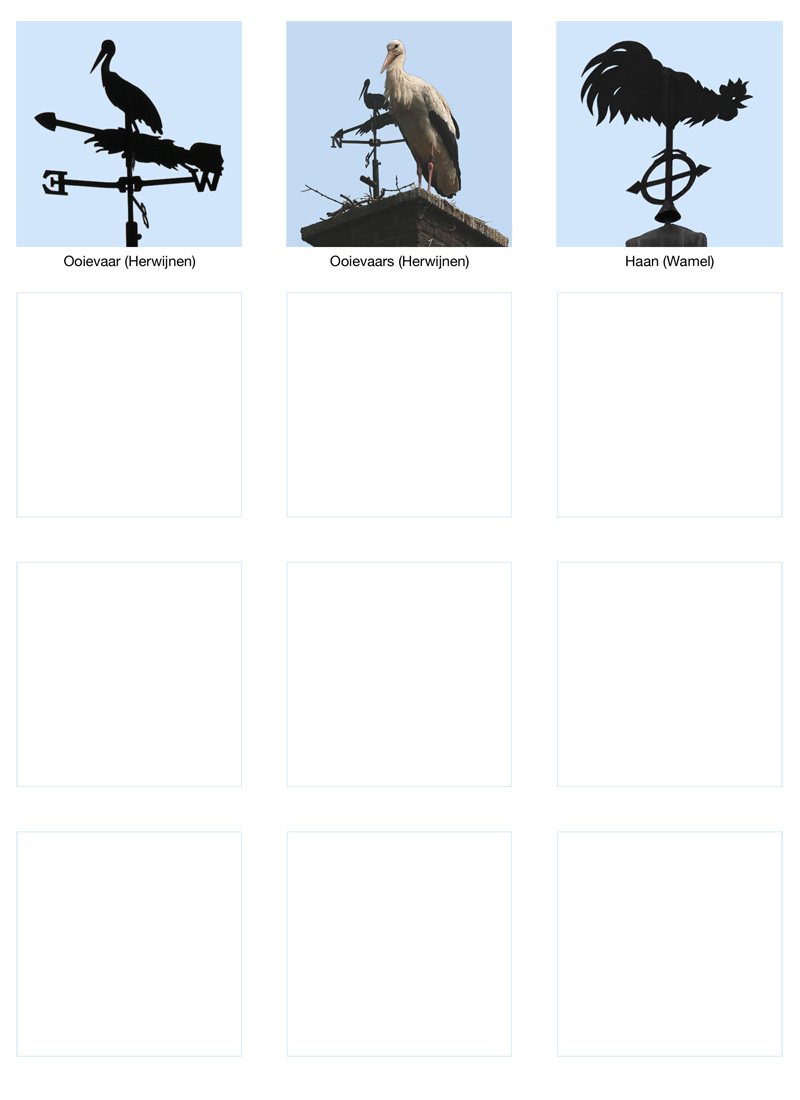 Windwijzers met vogels 3
