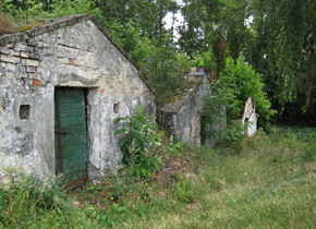 Falkenstein, derelict wine cellars