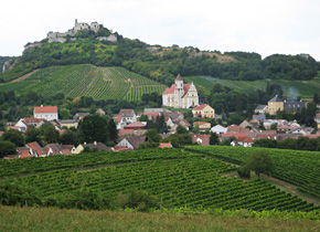 Falkenstein, vineyards