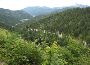 Seebachtal